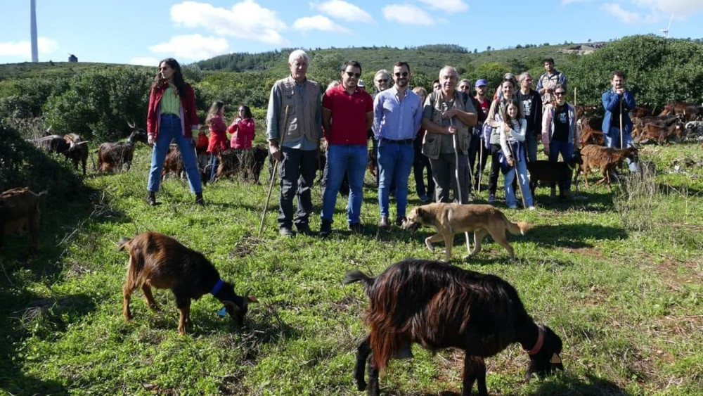 1.ª Rota dos padrinhos